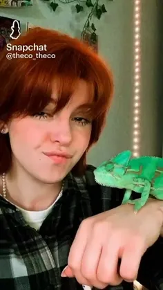 یکی برای من آفتاب پرست بخره :)🦎