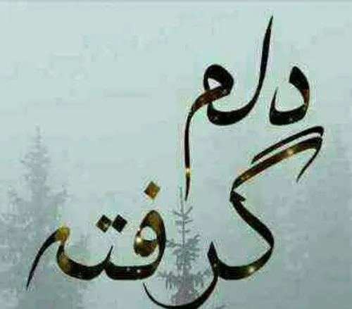 اره گرفته از خیلیا