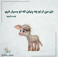 بسیاررخـری😐 🐴