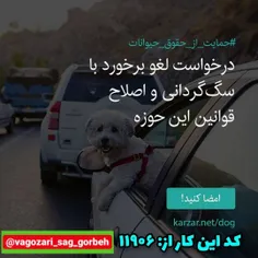 بچه ها دارن سگارو از مردم میگیرن و میکشن شون 😧ترو خدا بری