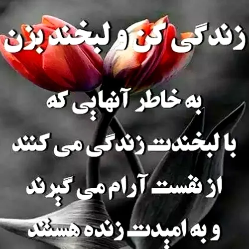  amirali_1368 44636568 - عکس ویسگون