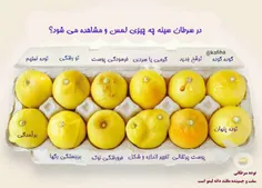 درسرطان سینه چه چیزی لمس ومشاهده میشود؟؟؟؟