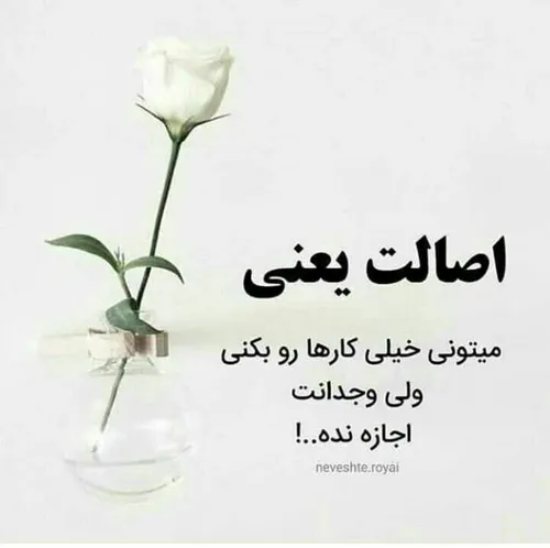 گوناگون amirmoradizadeh 28825913 - عکس ویسگون