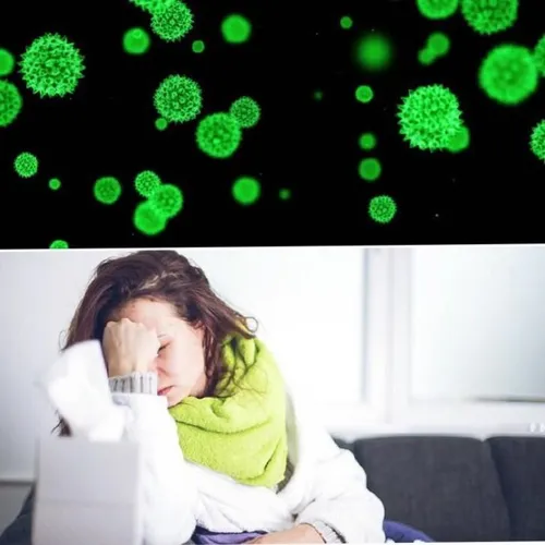 اطراف ویروس آنفولانزا پوشش ژلاتینی وجود دارد که در برابر 