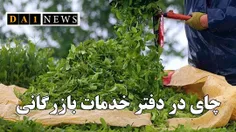 حل مسایل و مشکلات صنعت چای به دفتر خدمات بازرگانی واگذار 