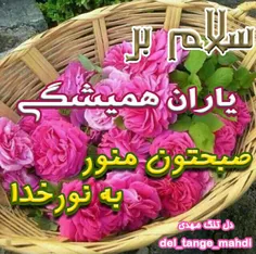 هیچ آغازی