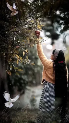 👈جملـاتی كوچـك، مفاهيمی بـزرگ : 