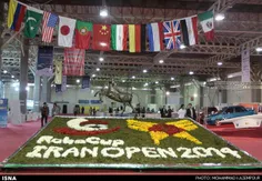 مسابقات بین المللی ربوکاپ در تهران.