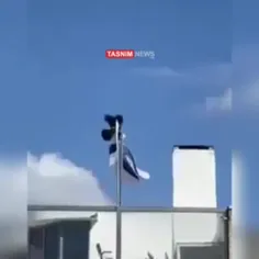 🔻🎥یک کلاغ پرچم اسرائیل را به زیر کشید!