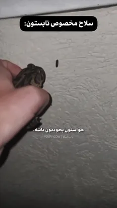 ✲ این داستان : سلاح مخصوص تابستون... 🐸✌