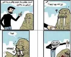 روشی برای کشتن شیر دریایی