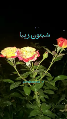 امشب آرزو دارم