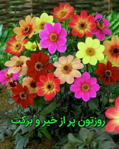 یک نفس یاد خدا