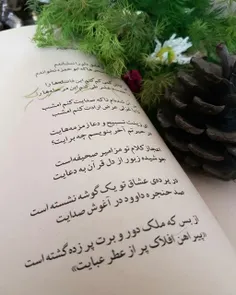 من کمتر از آنم