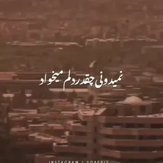 نمیدونی چقدر دلم میخواد....