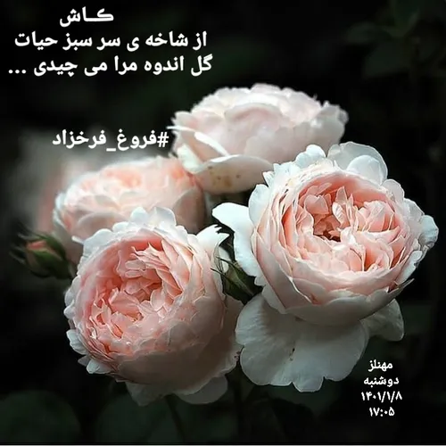 عکس نوشته خاص پست جدید