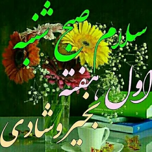  shirazish 55295112 - عکس ویسگون