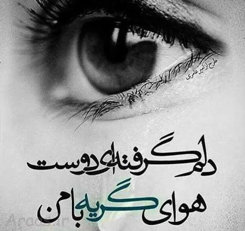 🌹 فیلم🌹 عکس🌹 هندی 🌹 عربی🌹 رقص🌹 دیسلاو🌹 ترکی🌹 اوکیا🌹 دخترو