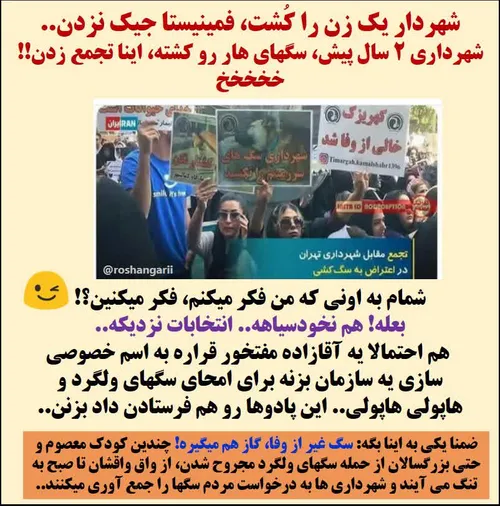 🔴 ماجرای تجمع و اعتراض دم شهرداری تهران برای سگ کشی 😐 👆