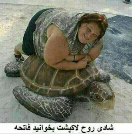 لاکپشت بدبخت