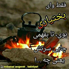 بختیاری