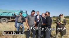 بازدید رییس سازمان جهاد کشاورزی استان قزوین از عملیات برد