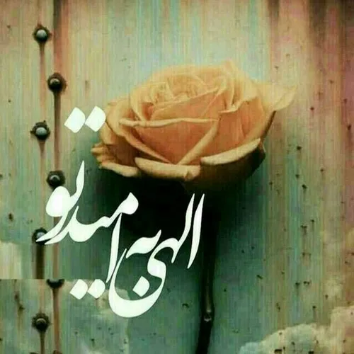 چه هفته زیبایی خواهد بود