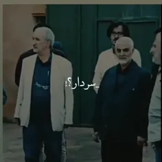 سردار؟!