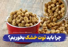 ۶ مزیت توت خشک برای بدن 