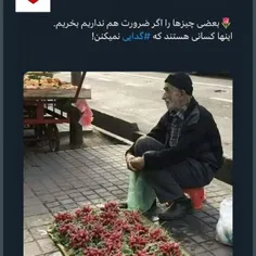 اینها کسانی هستند که 