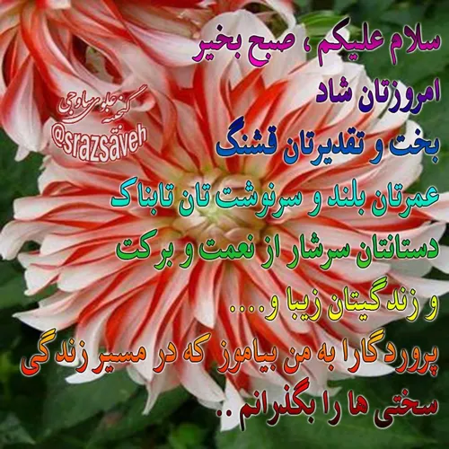 سلام علیکم ، صبح بخیر