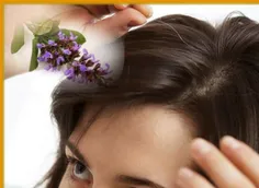 #جلوگیری_از_سفید_شدن_مو 🌿