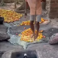 ترو خدا رفتین هند هیچی نخورین