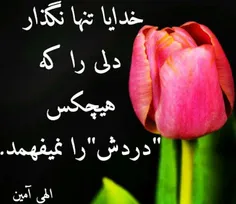 من و تنها نذار با مردمے کہ