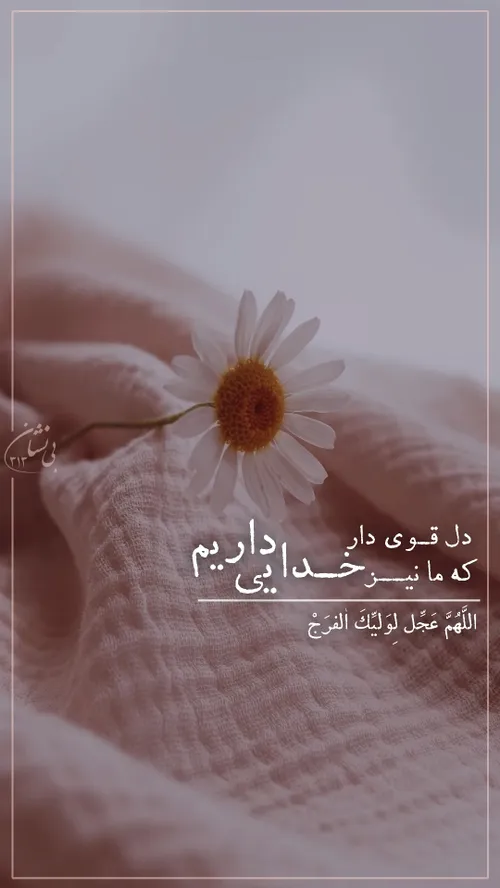 دل، قوی دار