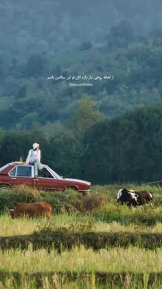 از لحاظ روحی نیاز دارم تو این سکانس باشم 🥲