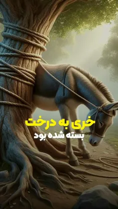 صداق جهان امروز ما