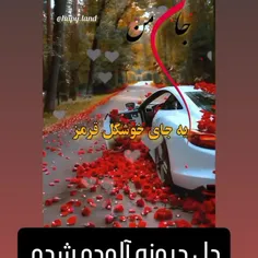 جای از دلمی خودت خبر نداری جای قشنگش