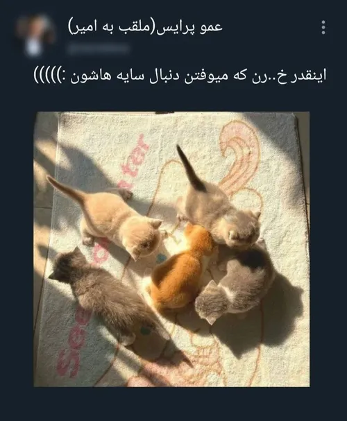 انقد خرن که