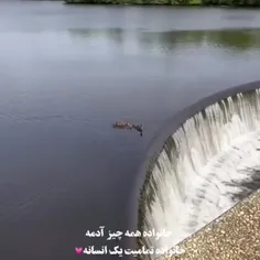 مفهوم  خانواده از یه قاب متفاوت..😊❤️❤️