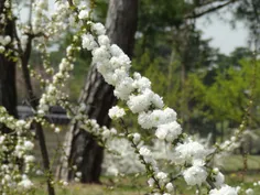 عکسهایی از سفر به کره جنوبی 