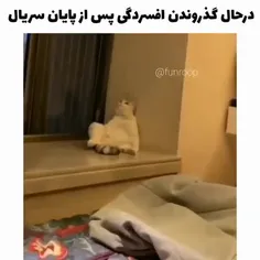 هقققق😢🥺