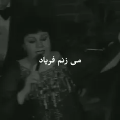 می زنم فریاد