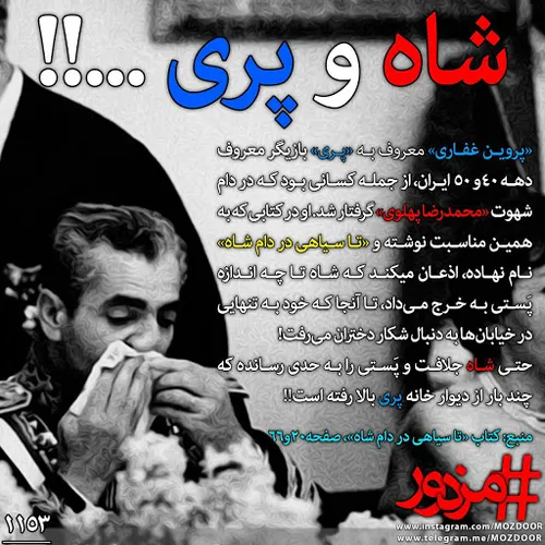 این بود شاه مملکت