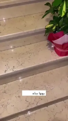 دمش گرم خدایی به این میگن زن زندگی 😂😂😂😂