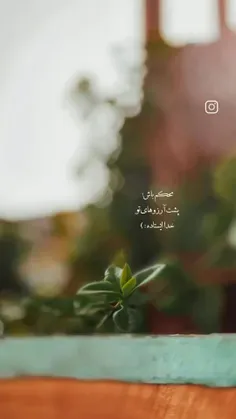 الهی ب امید تو یا رب