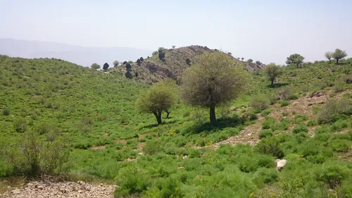 طبیعت خوزستان