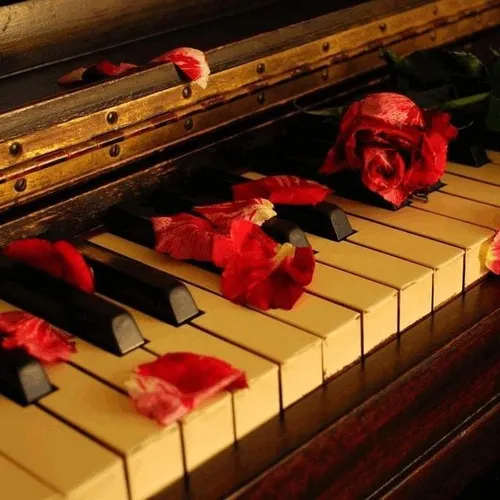 زندگی مثل پیانو میمونه