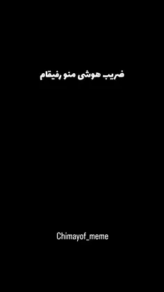 mojtaba_1995 76979408