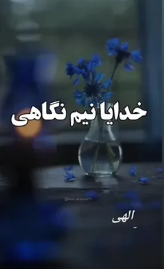 #باران ❣🌸امشب شب شادیست